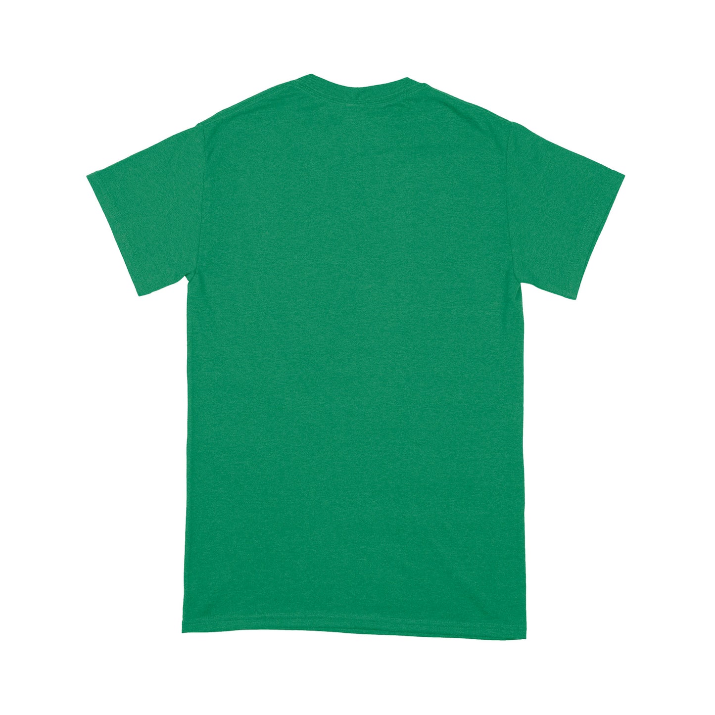Jesus Christ-US Veteran Standard T-shirt TA