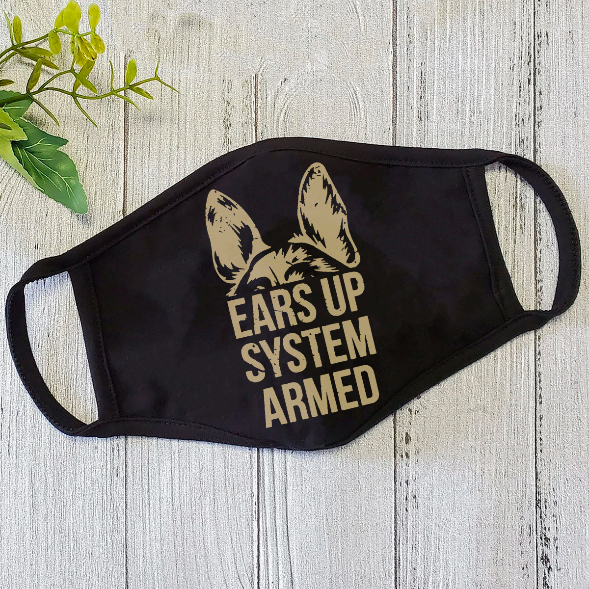 Face Mask DL