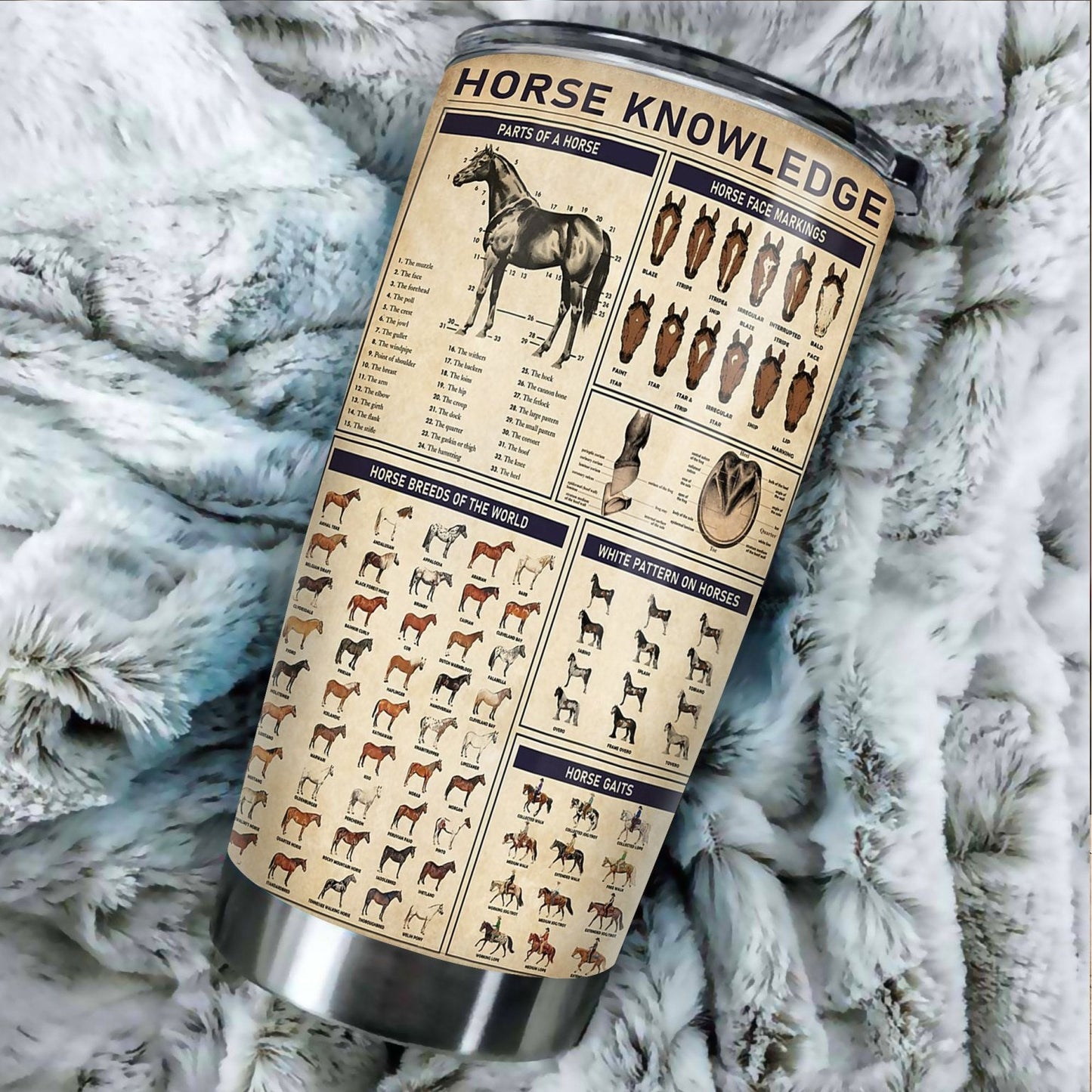 Horse Knowledge Stainless Steel Tumbler TA031615 - Amaze Style™-