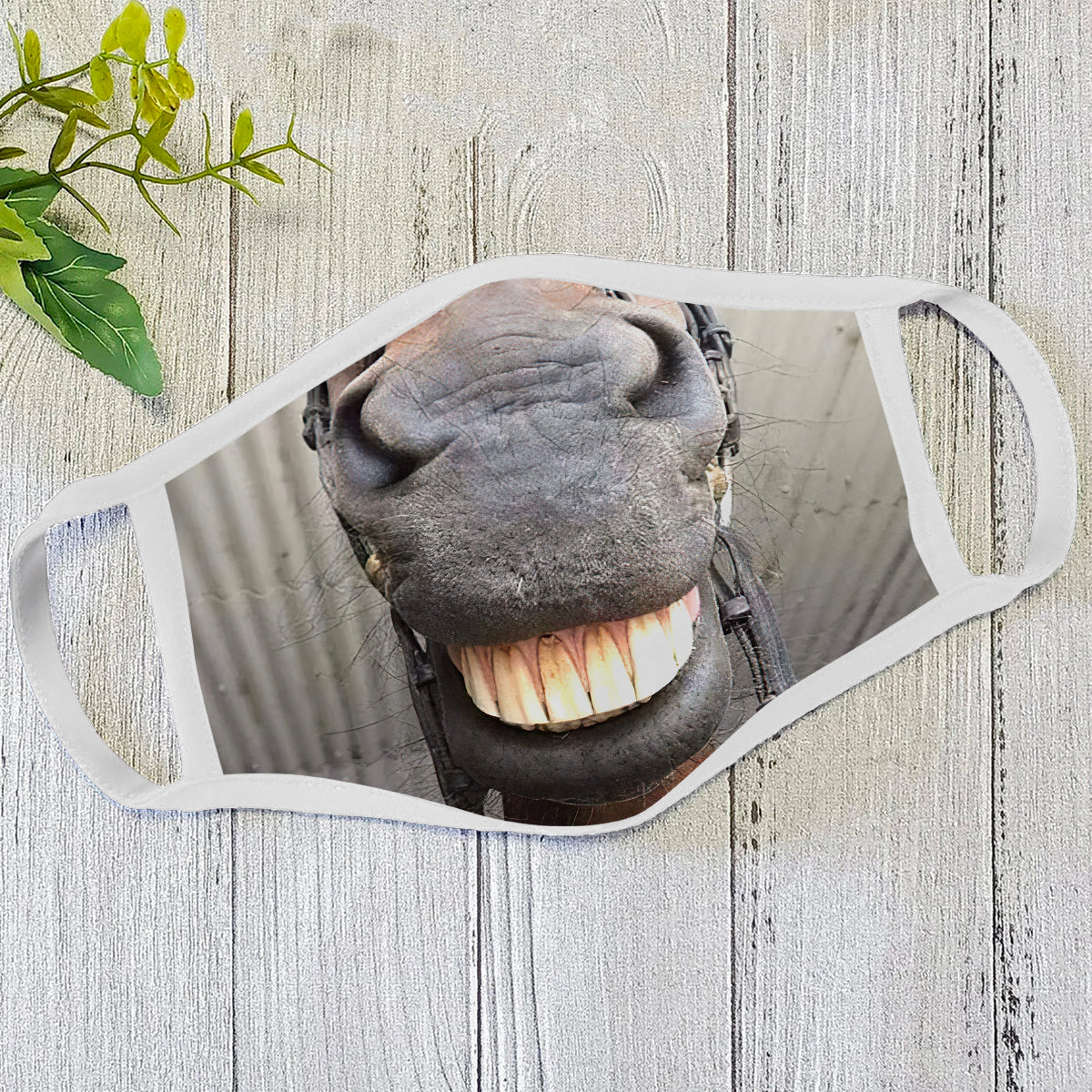 Horse Face Mask CB