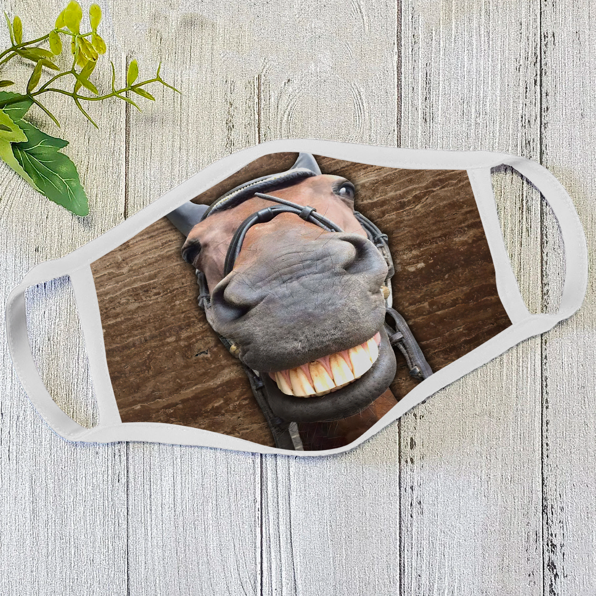 Horse Face Mask DL