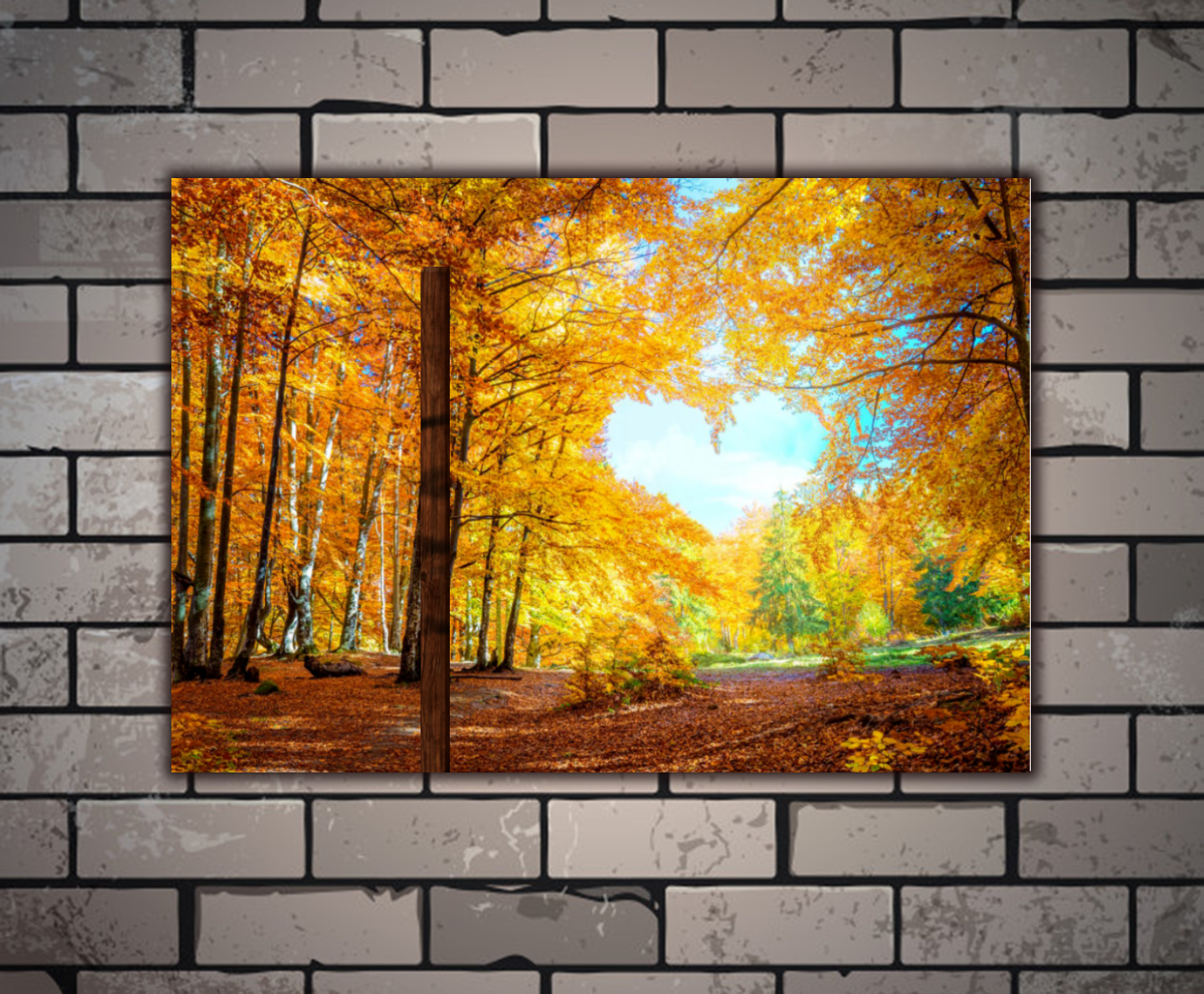 Matte Canvas L