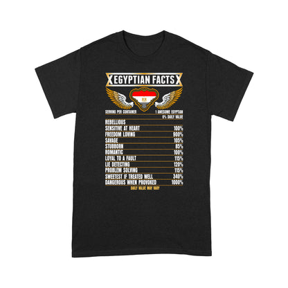 Egyptian Facts Ancient God T-shirt HC