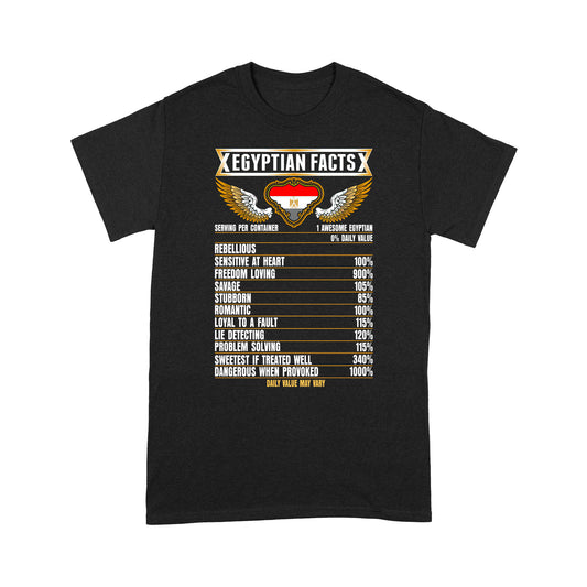 Egyptian Facts Ancient God T-shirt HC