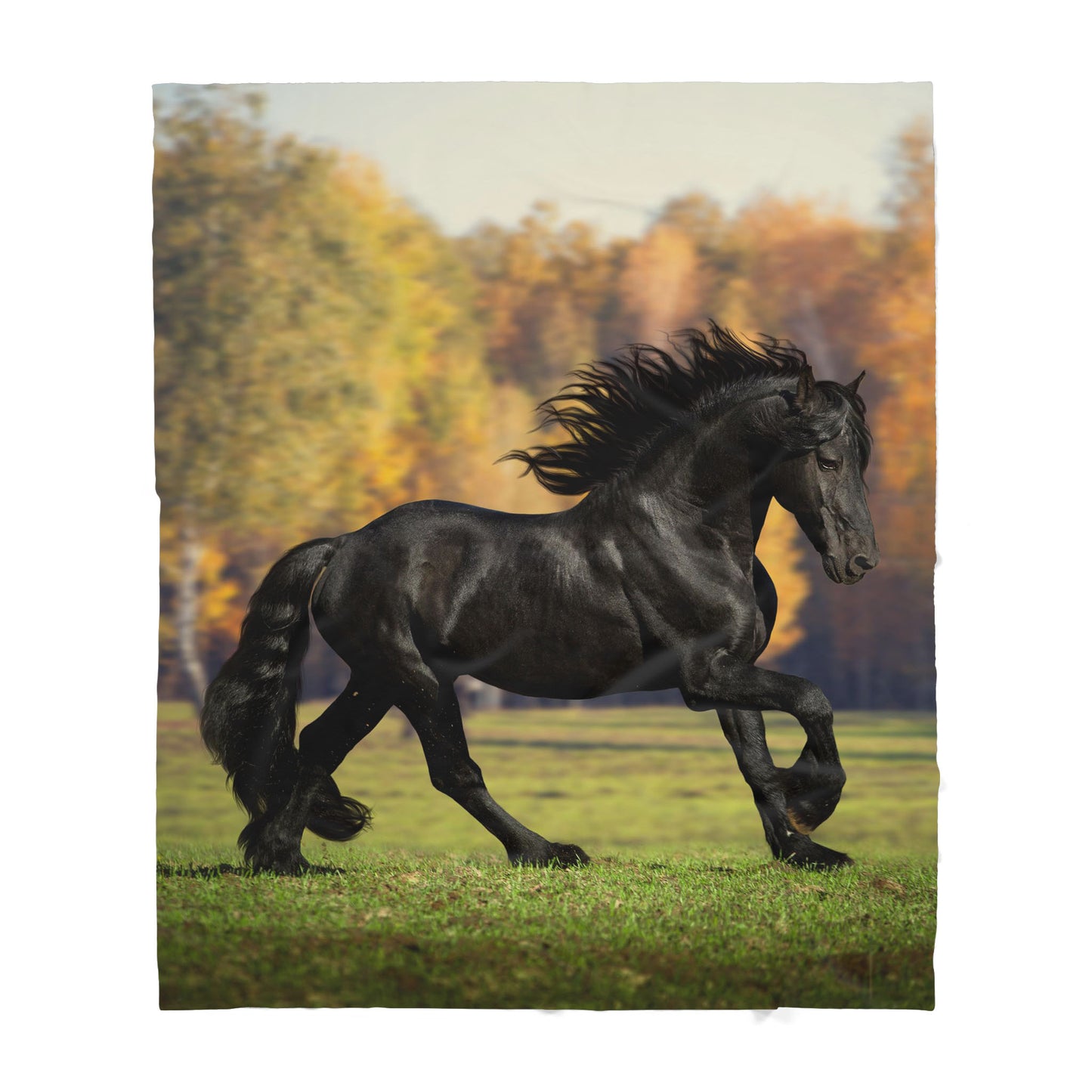 Custom Blanket Horse Sherpa Blanket TA