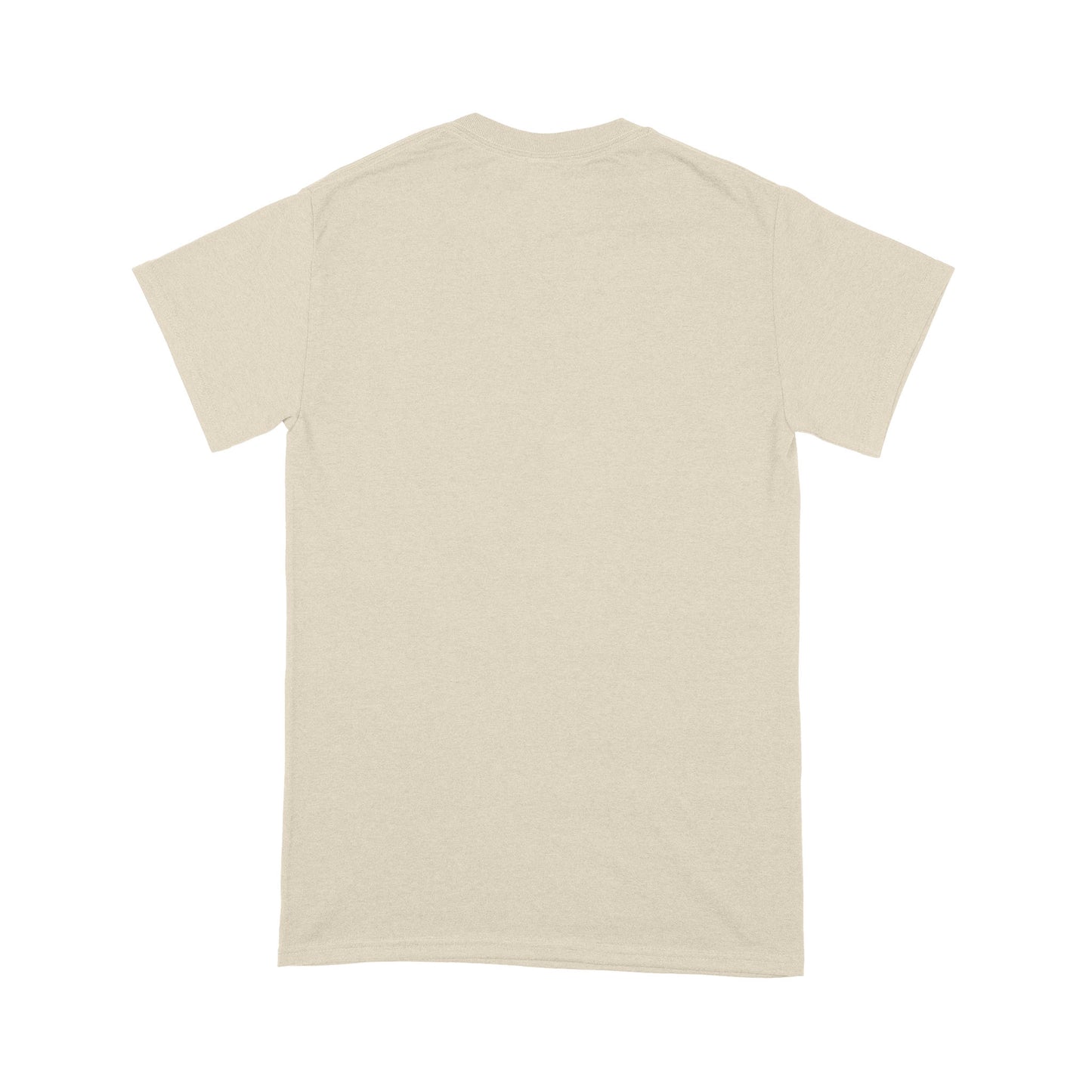 Virtual Third Grade Level Complete Standard T-Shirt