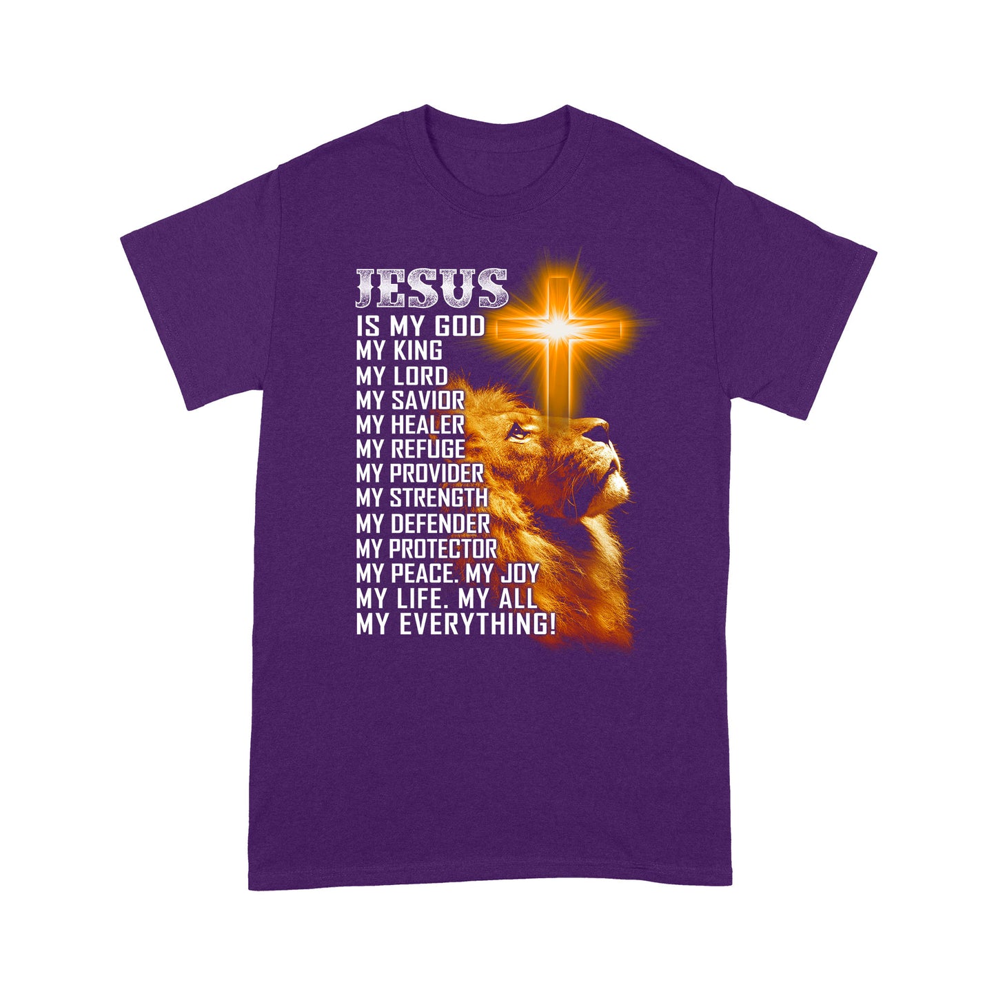 Jesus Is My Everything-Jesus Christ Standard T-shirt TA