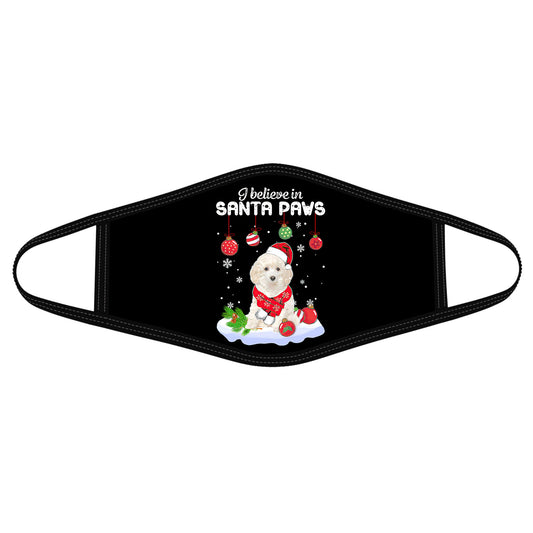 Santa Face Mask HG