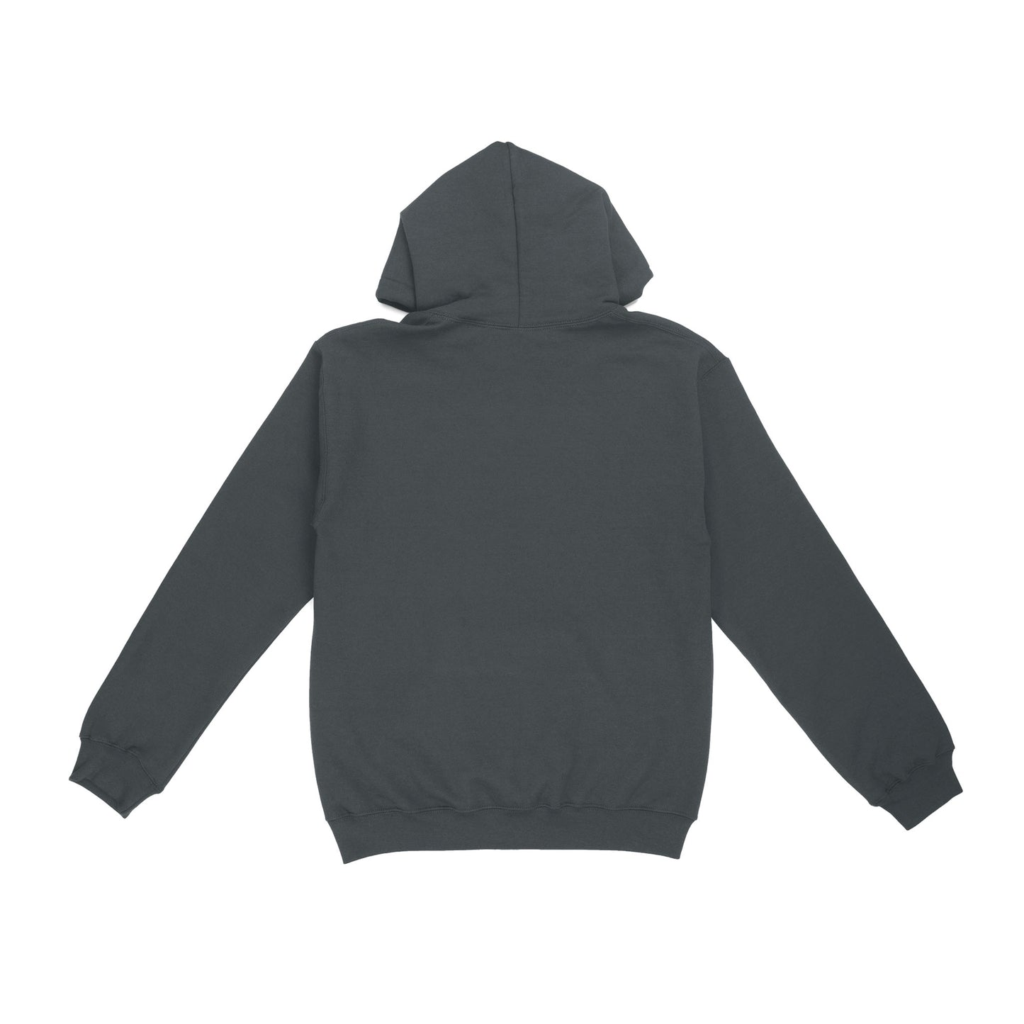 Jesus Is My Savior Nursing Is My Therapy Standard Hoodie
