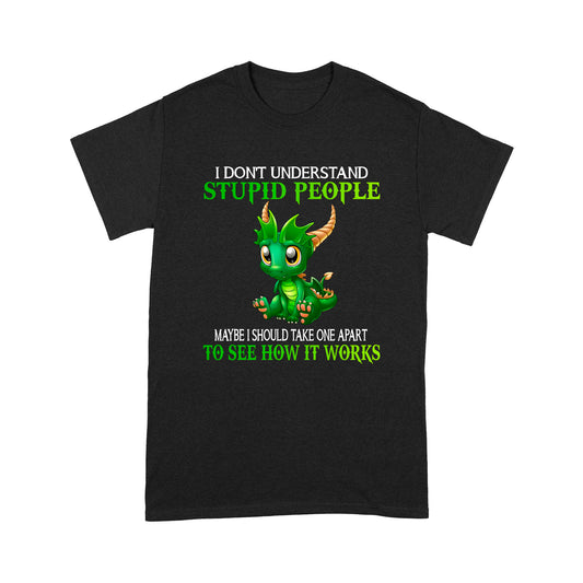 Dragon I Don't Understand Stupid People Standard T-shirt HG