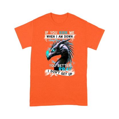 Dragon T-shirt If You Kick Me When I Am Down You'd Better Pray I Don't Get Up MEI