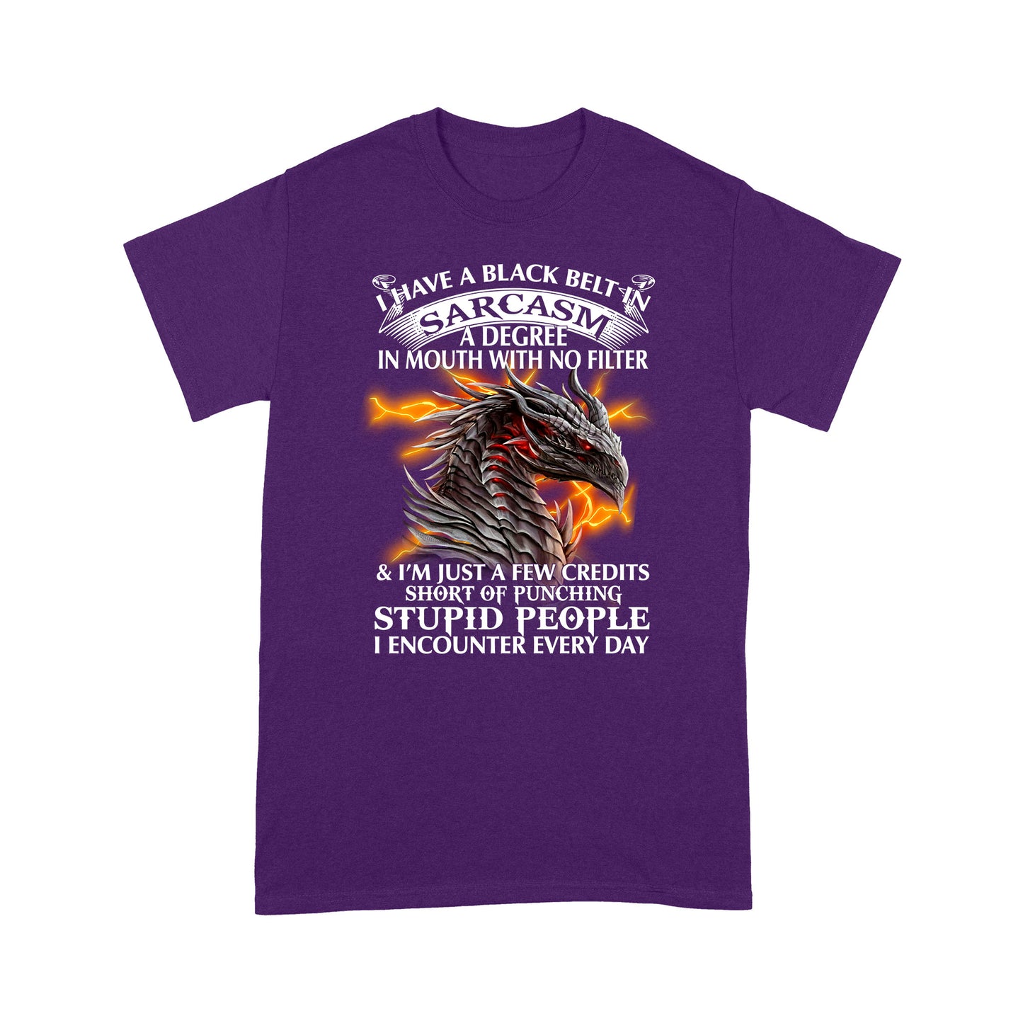 Dragon I Have A Black Belt In Sarcasm Standard T-shirt HG
