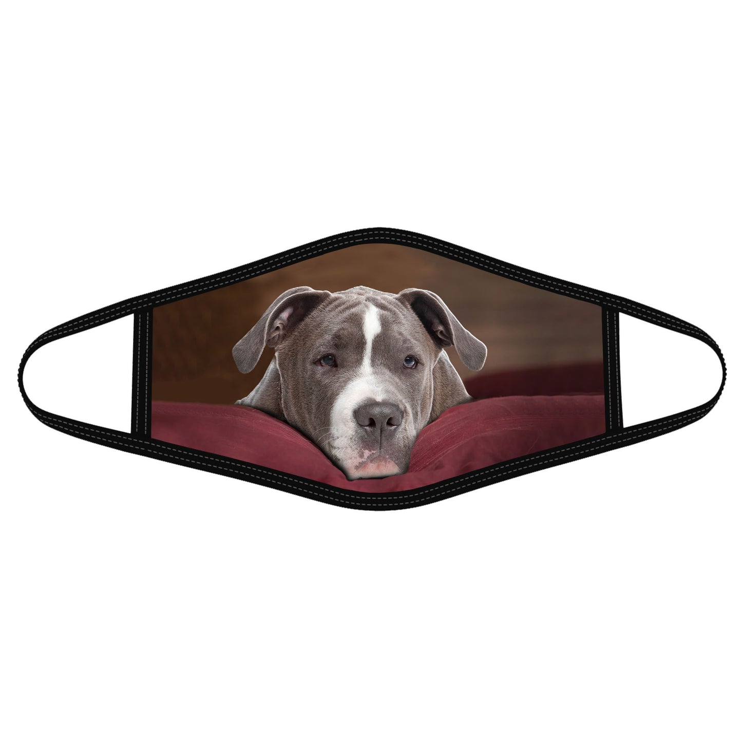 Dog Face Mask HG