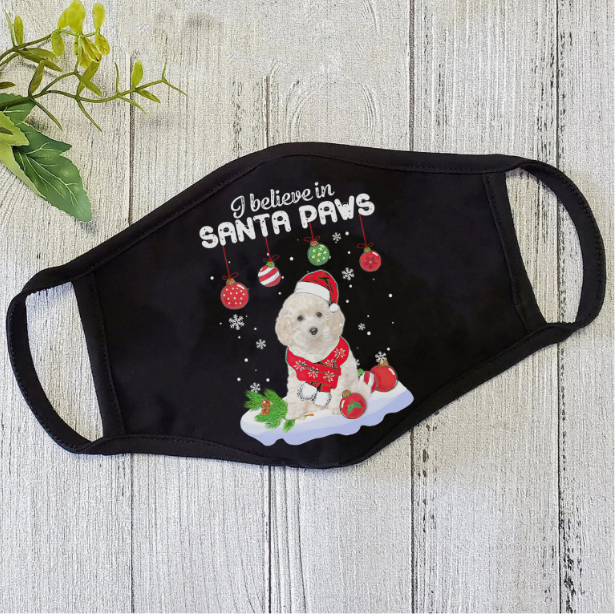 Santa Face Mask HG