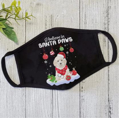 Santa Face Mask HG
