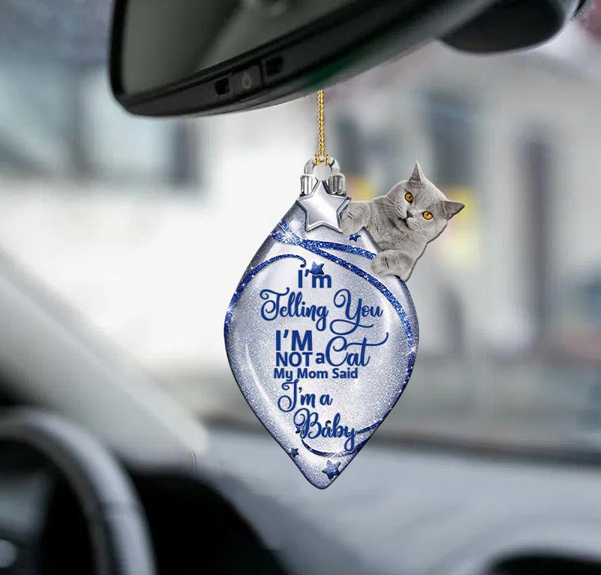 Cat i am a baby two sided ornament