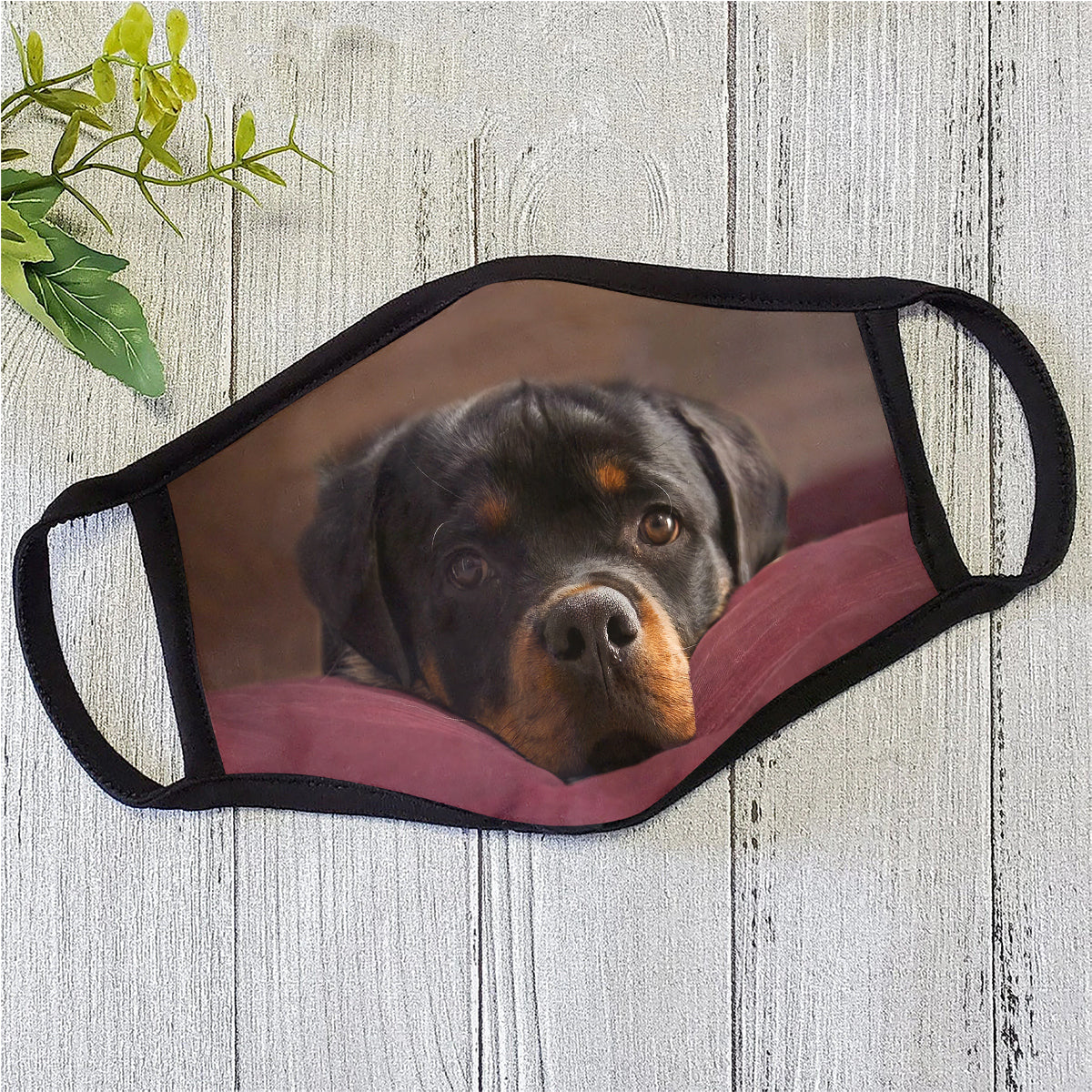 Dog Face Mask HG