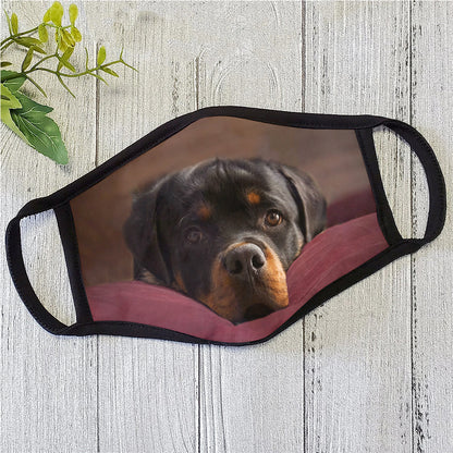 Dog Face Mask HG