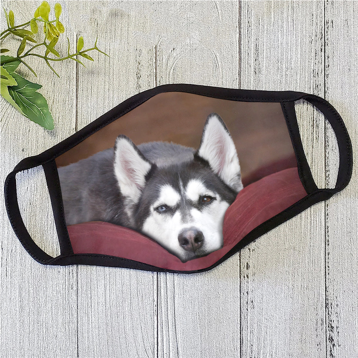 Dog Face Mask HG