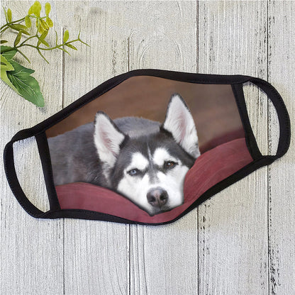 Dog Face Mask HG