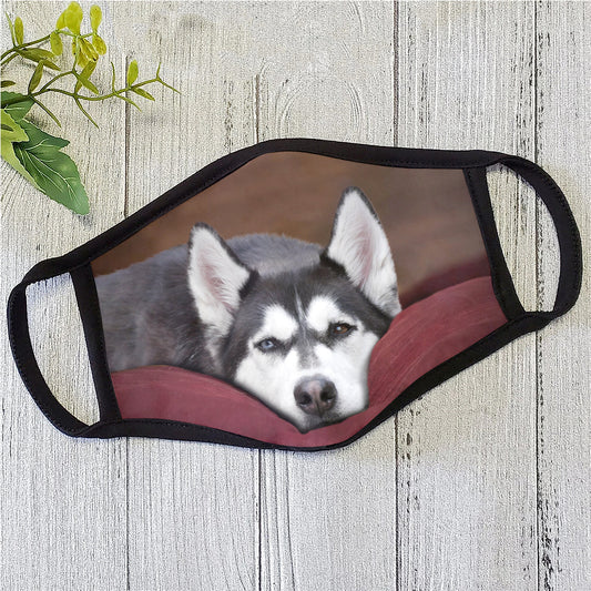 Dog Face Mask HG