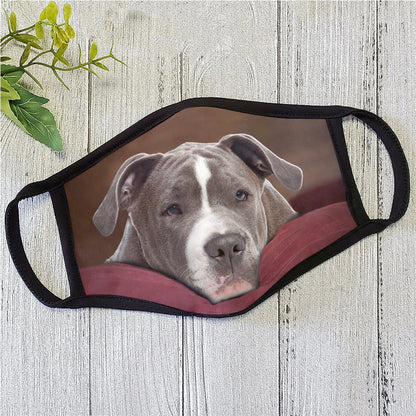 Dog Face Mask HG