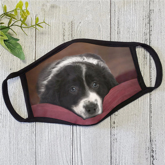 Dog Face Mask HG