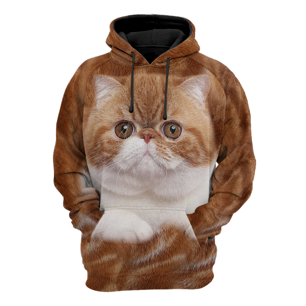 Exotic Shorthair Cat face hair premium hoodie sweatshirt cover