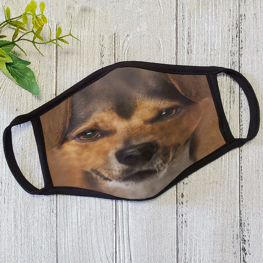 Dog Face Mask HG