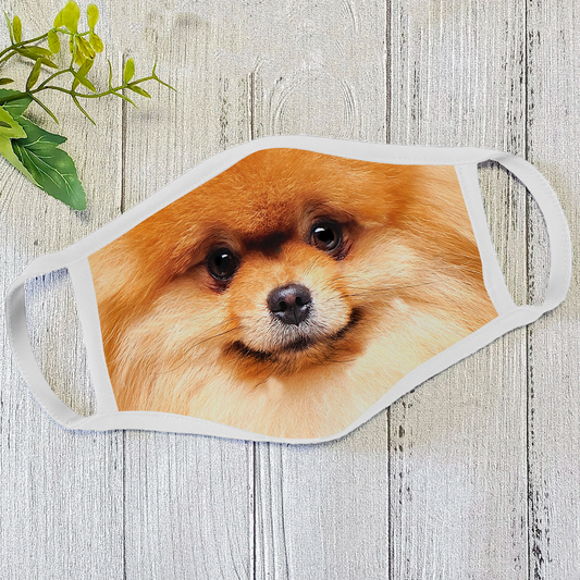 Dog Face Mask White HG
