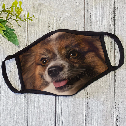 Dog Face Mask HG