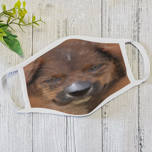 Dog Face Mask White HG