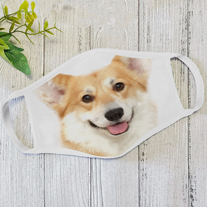 Dog Face Mask White HG