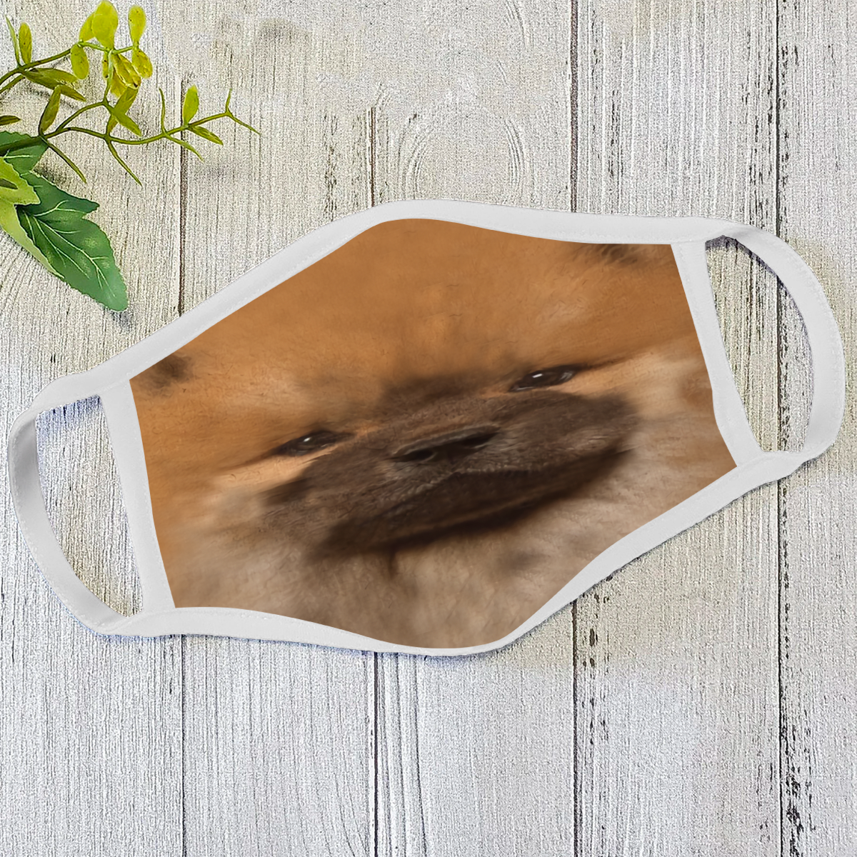 Dog Face Mask White HG