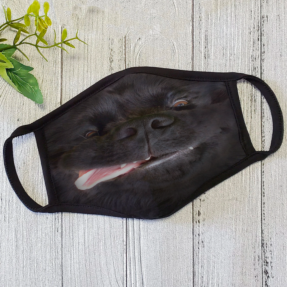 Dog Face Mask HG