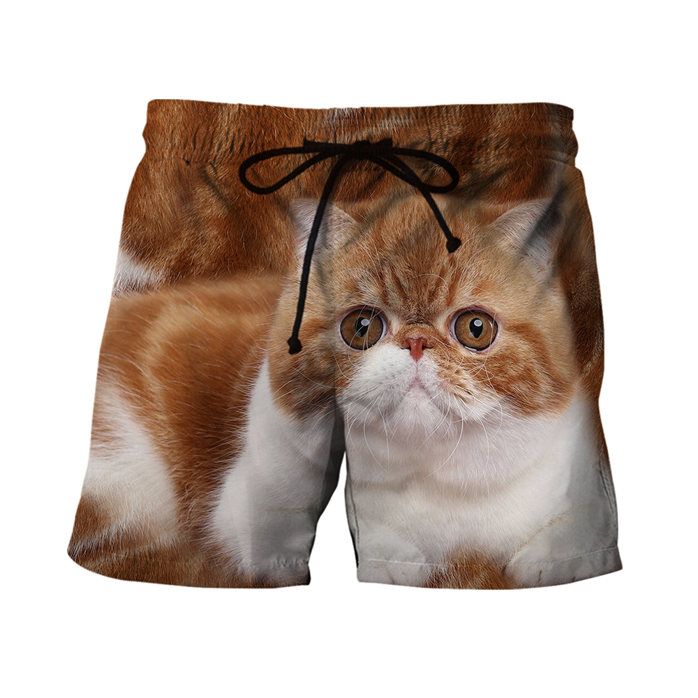 Exotic Shorthair Cat face hair premium hoodie sweatshirt cover