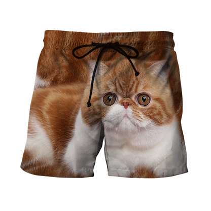 Exotic Shorthair Cat face hair premium hoodie sweatshirt cover