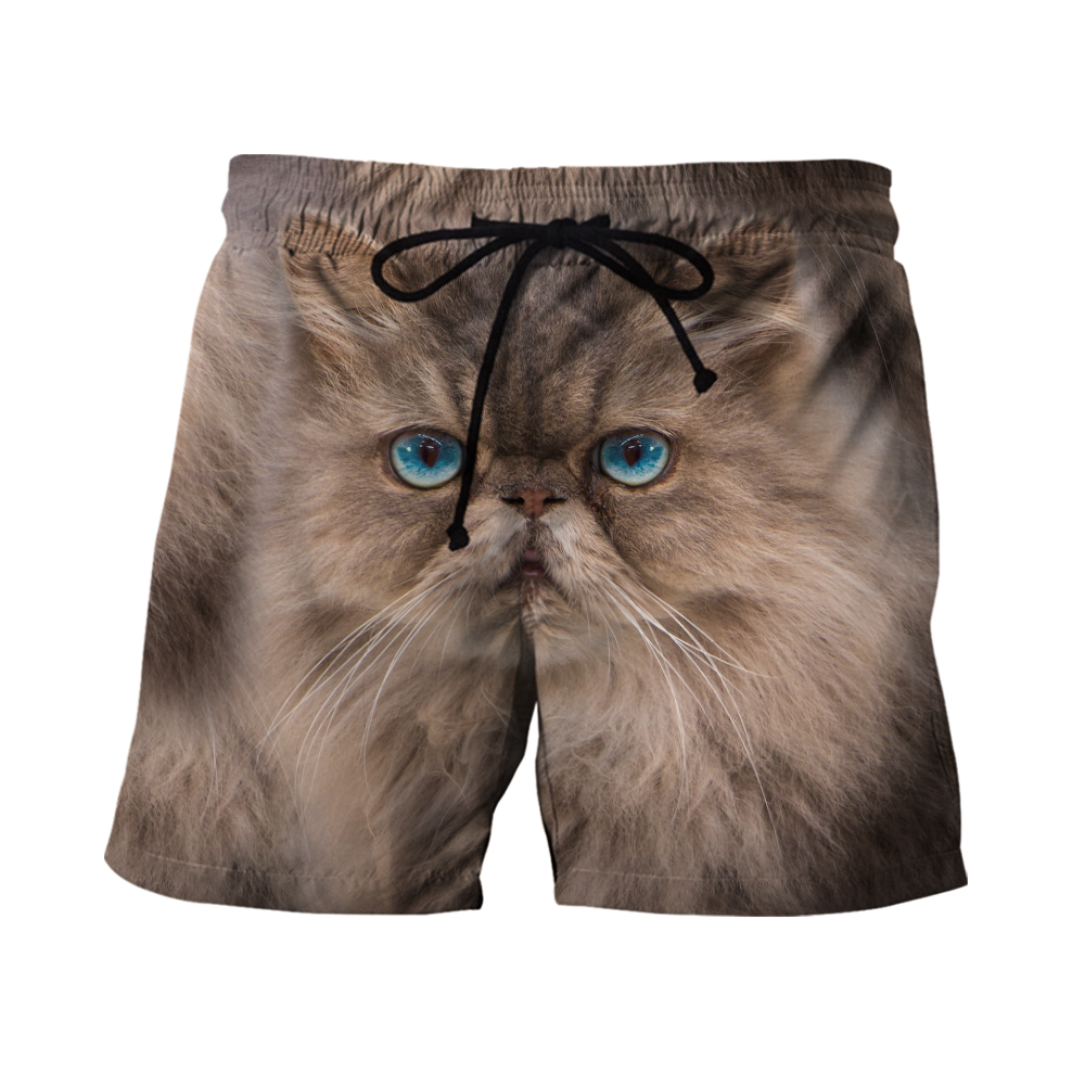 Persians Cat Face Hair Premium Hoodie Sweatshirt Cover