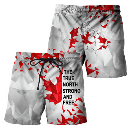 Canada Day No25 Premium Unisex Hoodie Maple Leaf