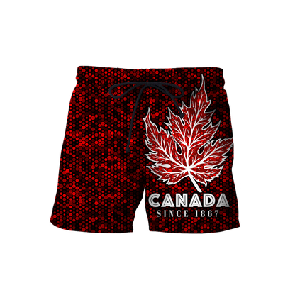 Canada Day No28 Personalize Premium Unisex Hoodie