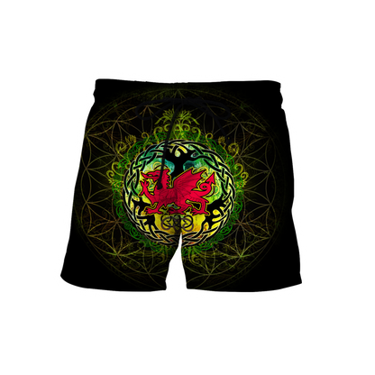 Celtic Wales Dragon Tattoo Hoodie For Men And Women