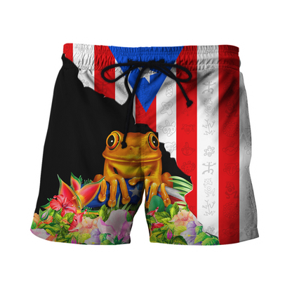 Customize Name Puerto Rico 3D All Over Printed Unisex Shirts