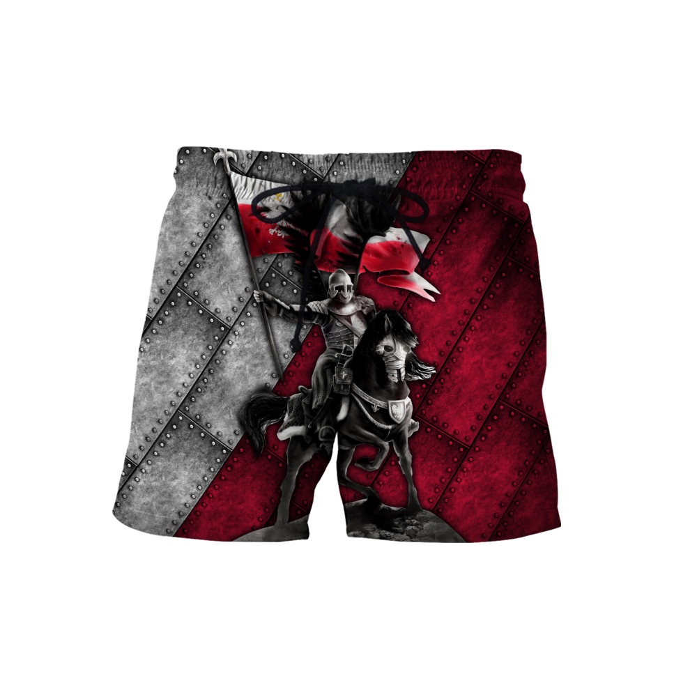 Premium Polish Hussars 3D All Over Printed Unisex Hoodie