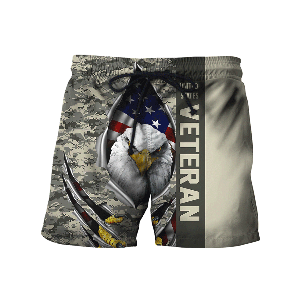 Eagle US Veteran 3D All Over Printed Hoodie