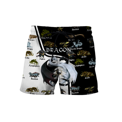 Dragon 3D All Over Printed Shirts For Men and Women VP21102004