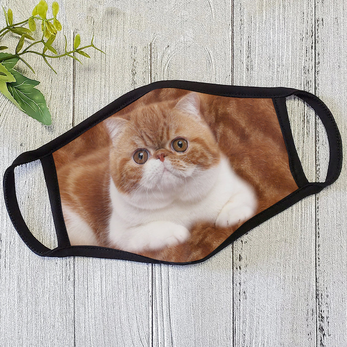 Cat Face Mask HC
