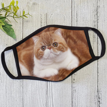 Cat Face Mask HC