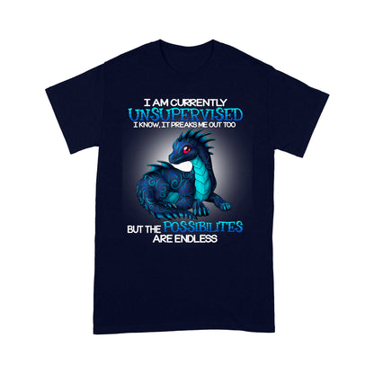 Dragon I Am Currently Unsupervised Standard T-shirt HG