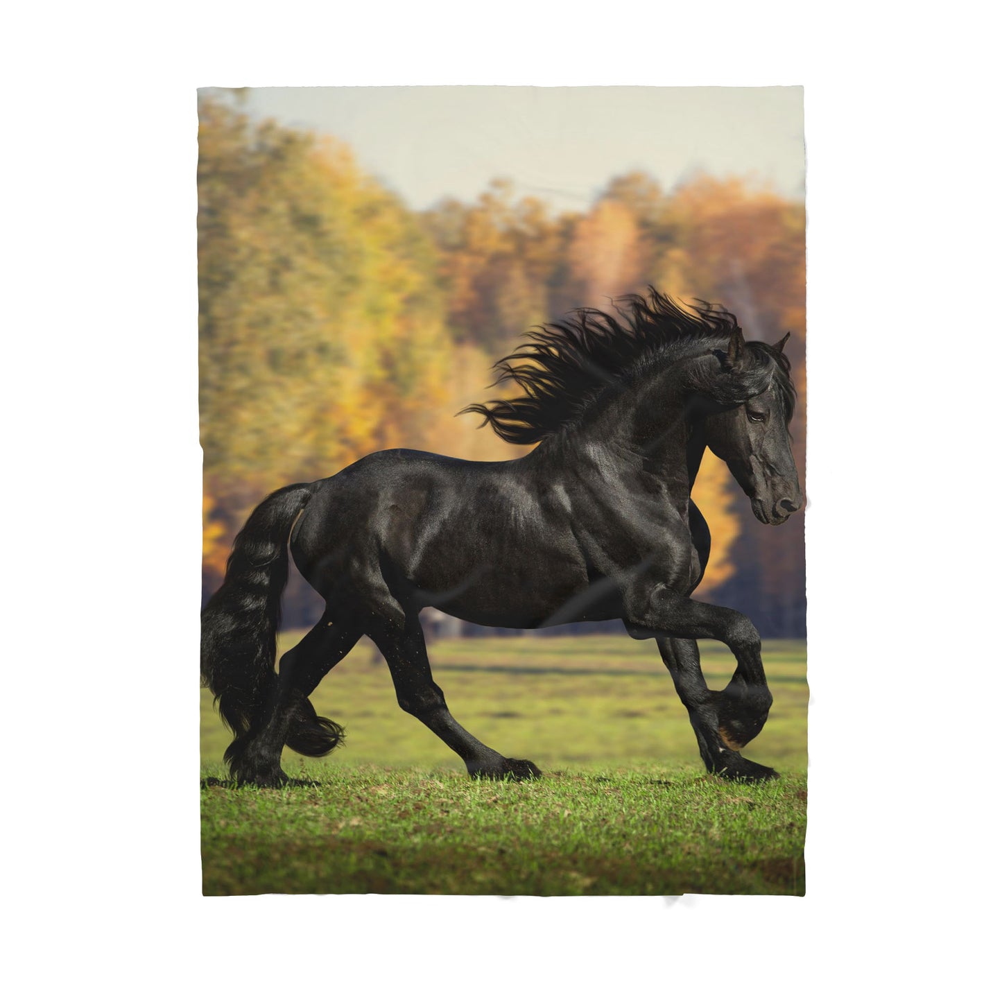 Custom Blanket Horse Sherpa Blanket TA