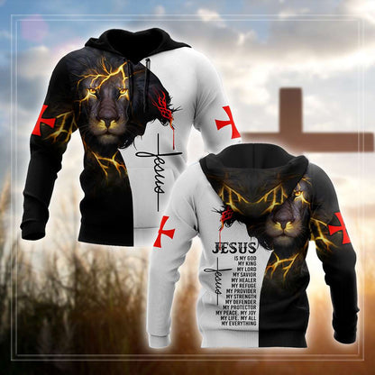 Jesus Christ and Lion My Everything 3D Printed Hoodie, T-Shirt for Men and Women